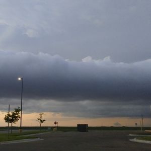 Meet your Posher, Regina